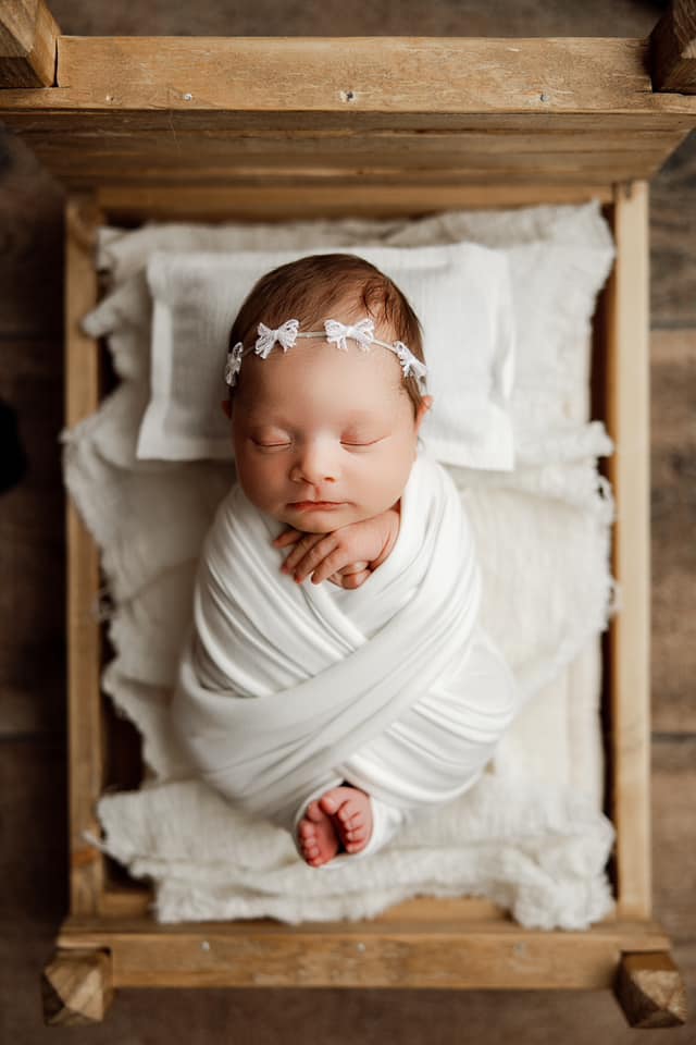 Cream | Dainty Lace multi bow